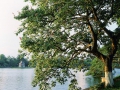 hoan-kiem-lake-in-autumn