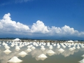 salt-field-in-nha-trang