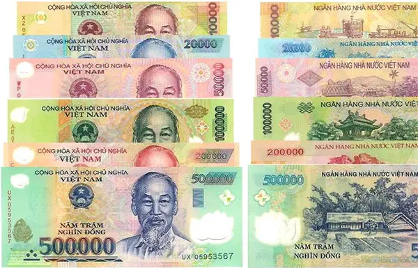 What does Vietnamese money look like?